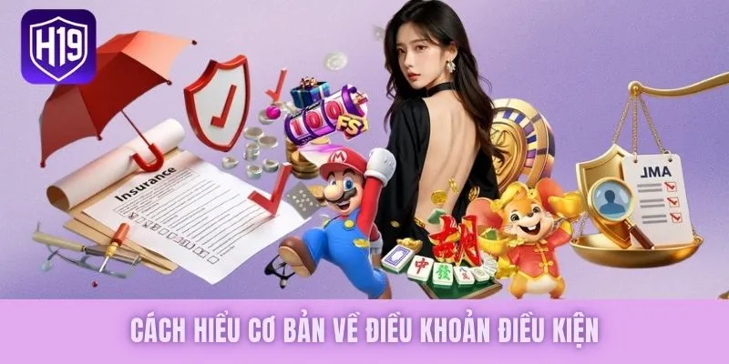 Cách hiểu cơ bản về điều khoản điều kiện